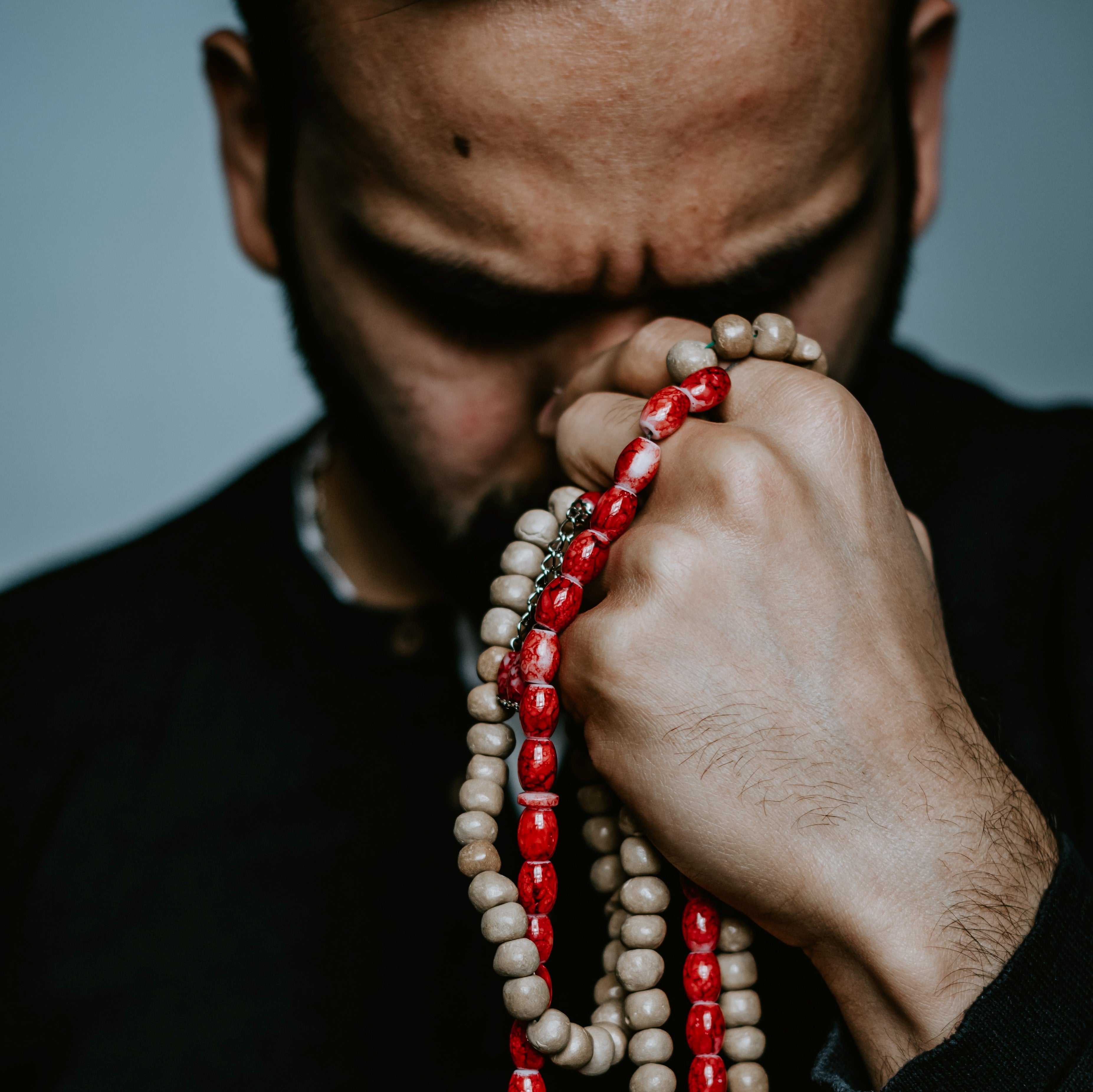 What does plant based protein mean?