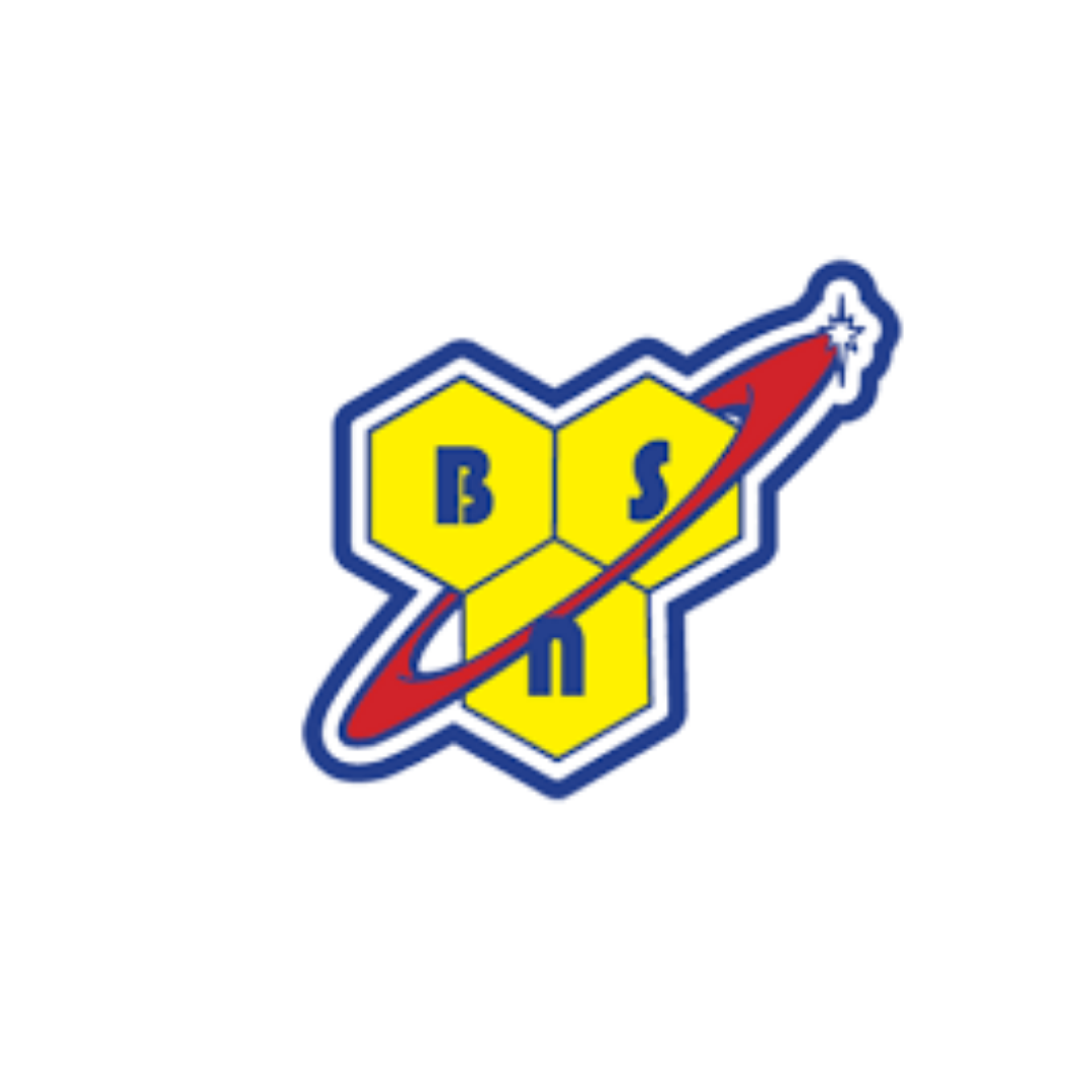 BSN Supplements Catalogue NO XPLODE SYNTHA 6 Assorted Flavours