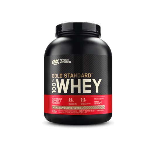 Gold Standard Whey Protein (Special)