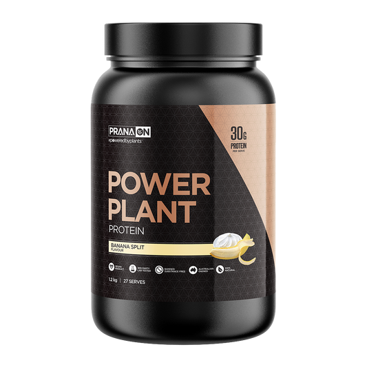 PranaOn Power Plant Protein