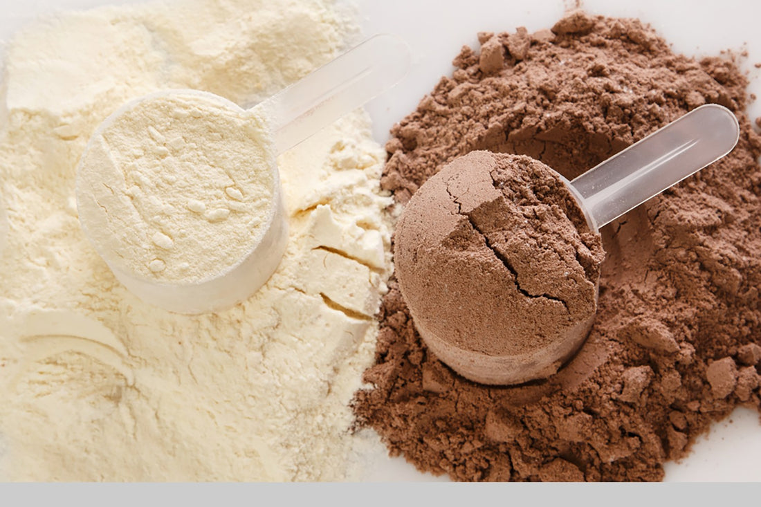 The 7 most Important Tips To know About Vegan Plant Protein Powders