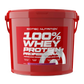 100% Whey Protein Professional 920g (16)